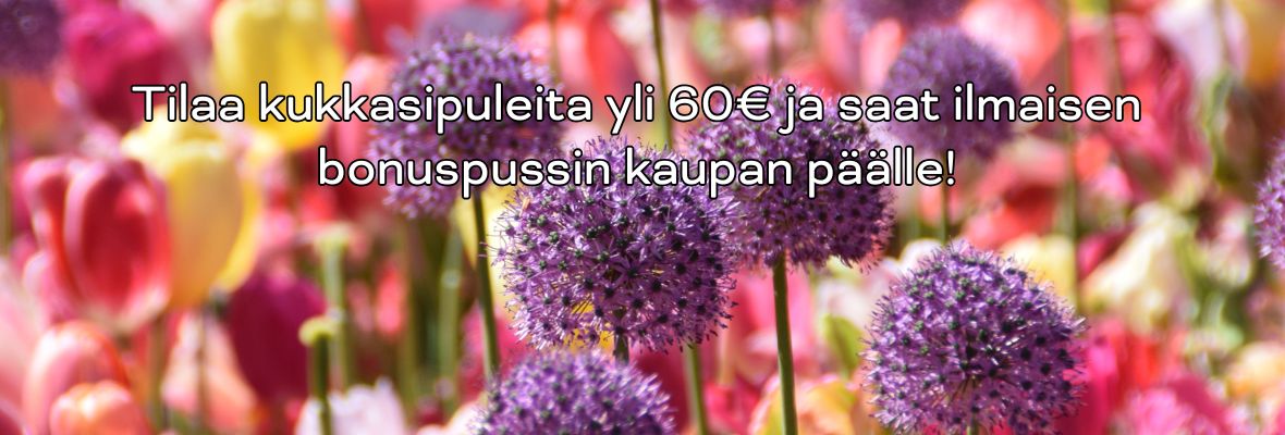 00syksy
