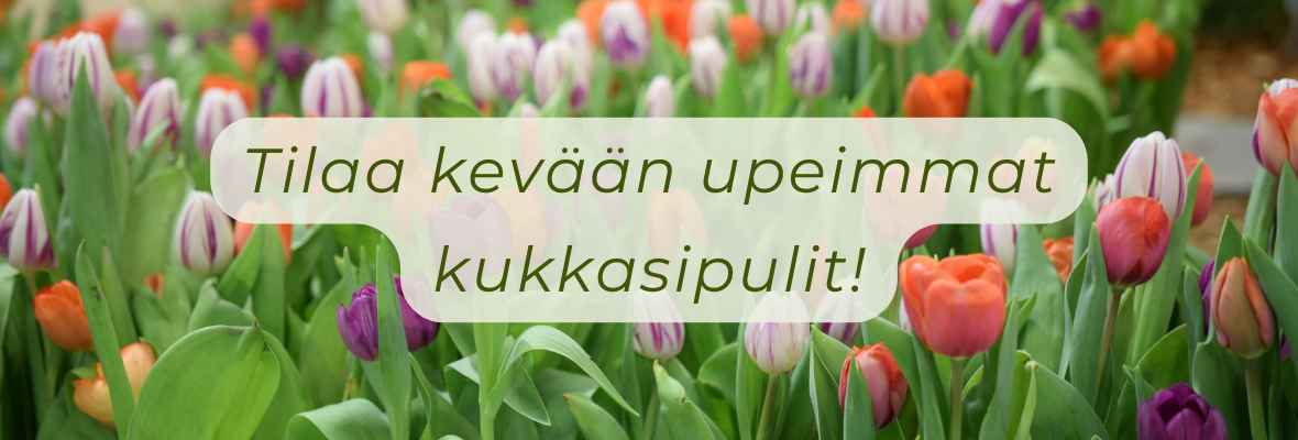 0 kukkasipulit