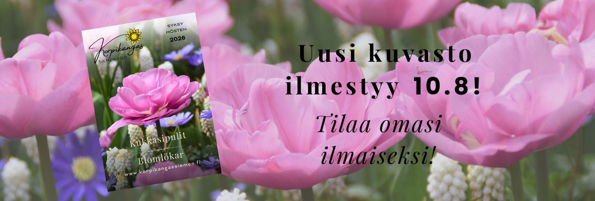 00 kuvastoFI