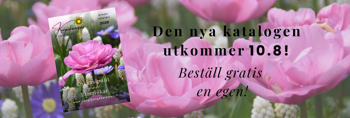 00 kuvastoSE