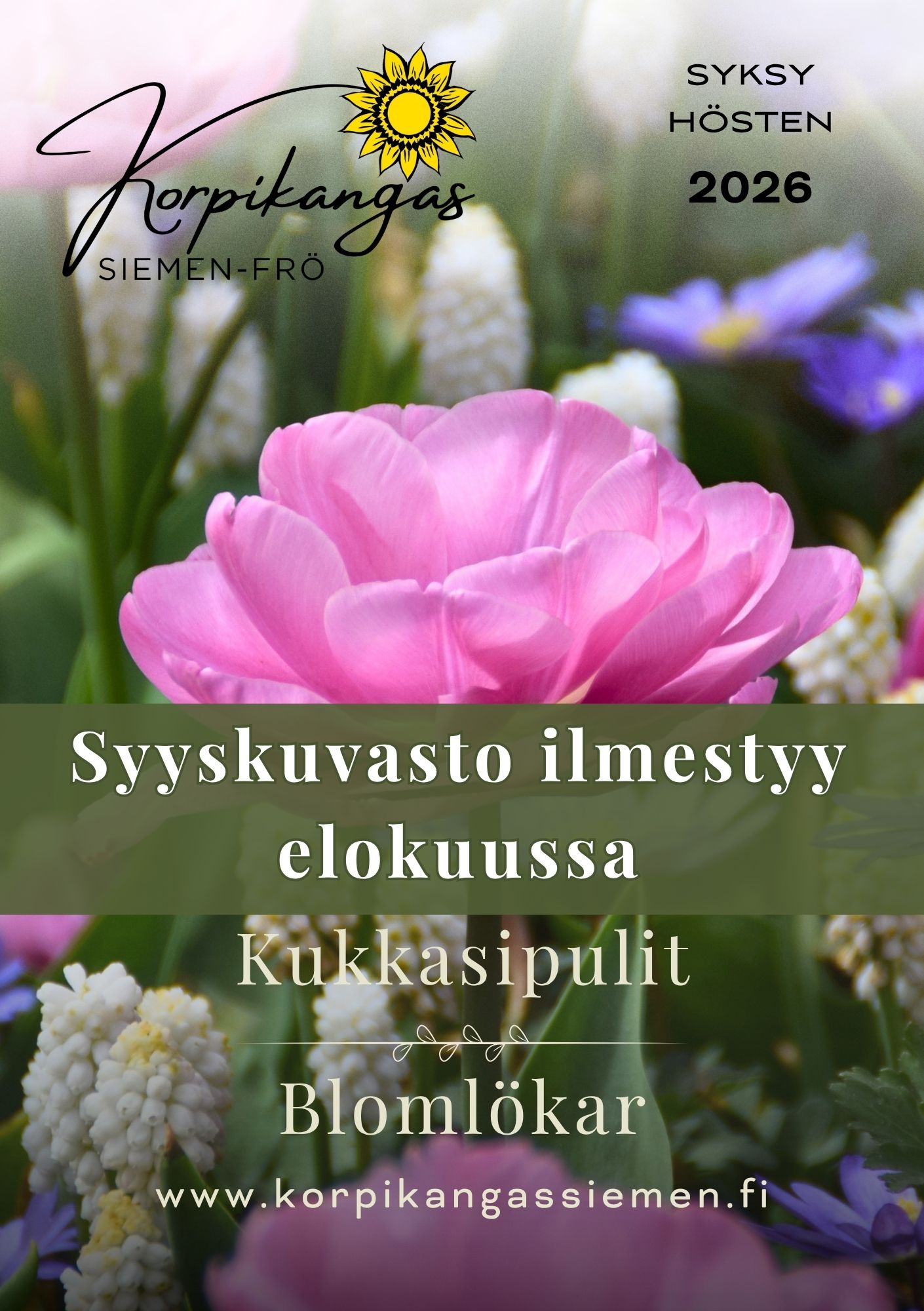 Kuvasto3