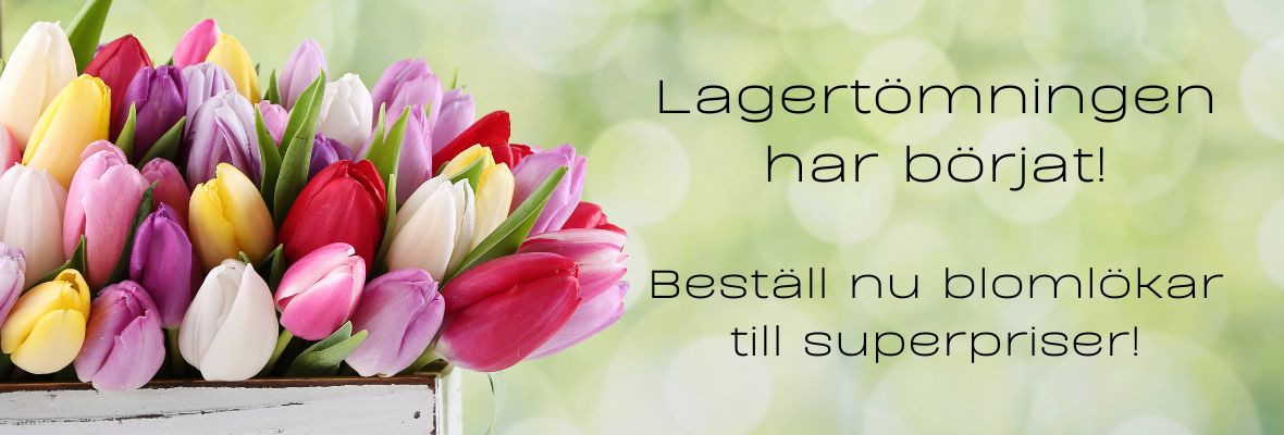 00 Varastotyhjennys