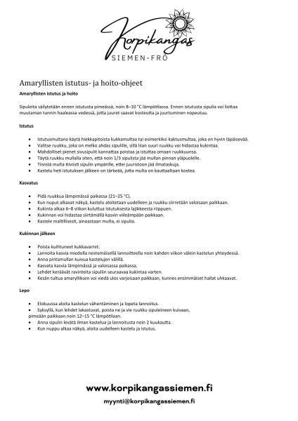 Amaryllisten sipuleiden istutus-3