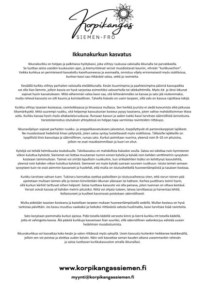 Ohje - Ikkunakurkun kasvatus-2