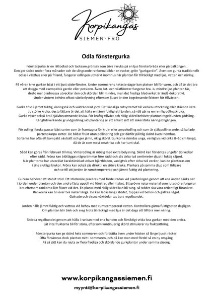 Ohje - Ikkunakurkun kasvatus-3