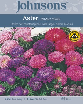 Kesäasteri