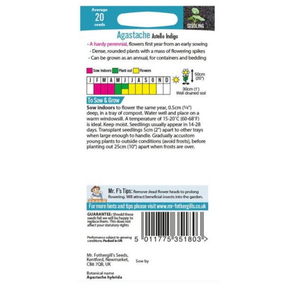 Tarhaiiso, yrtti-iiso-2