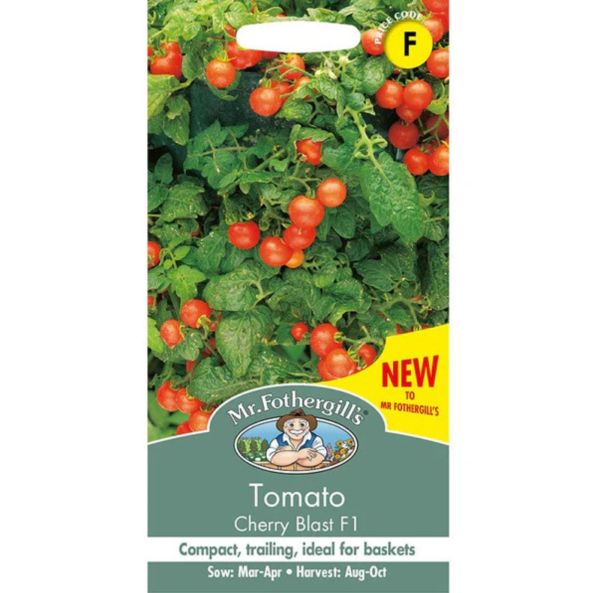 Pensastomaatti, Kirsikkatomaatti