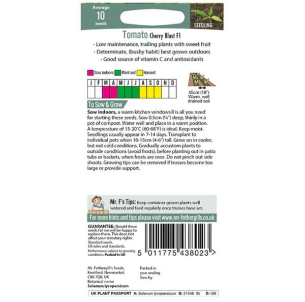 Pensastomaatti, Kirsikkatomaatti-2