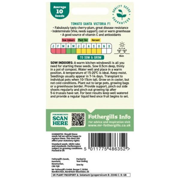 Luumutomaatti, Kirsikkatomaatti-2