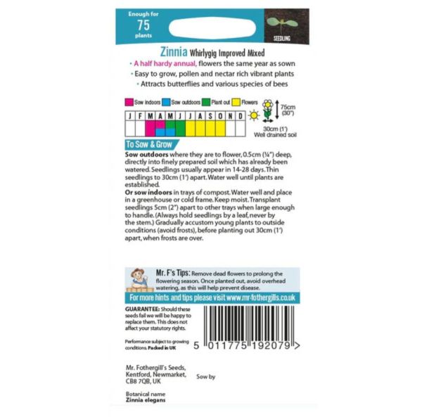 Tsinnia sekoitus-2