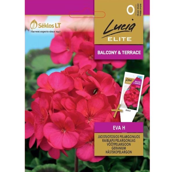 Pelargoni