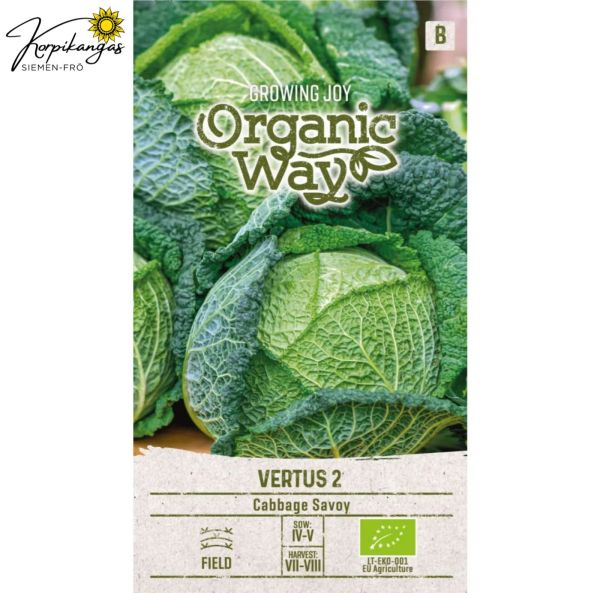 Savoykaali, kurttukaali-2