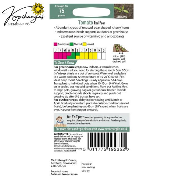 Päärynätomaatti, Kirsikkatomaatti-3