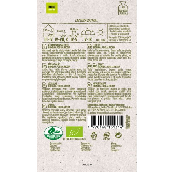 Tammenlehtisalaatti-2