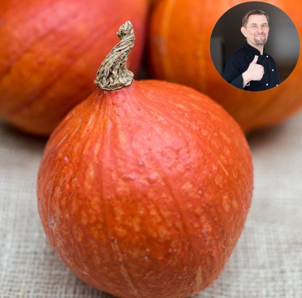 Japanilainen talvikurpitsa