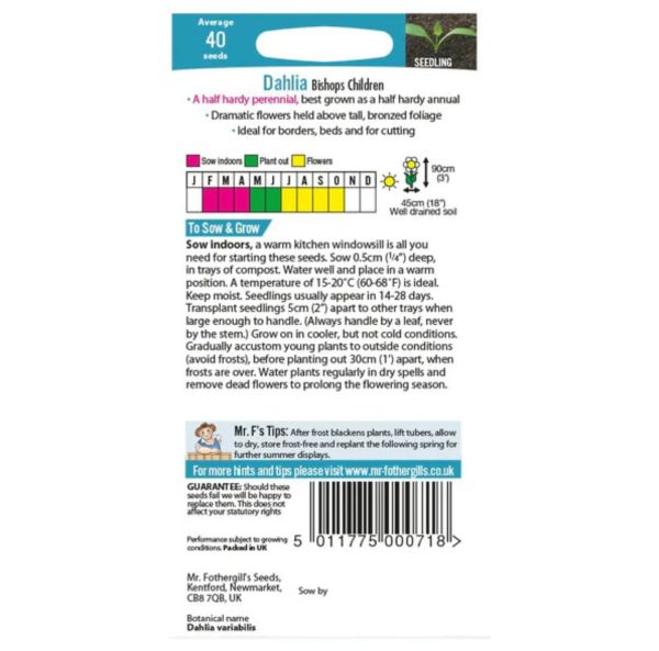 Kesäneilikka -sekoitus-2