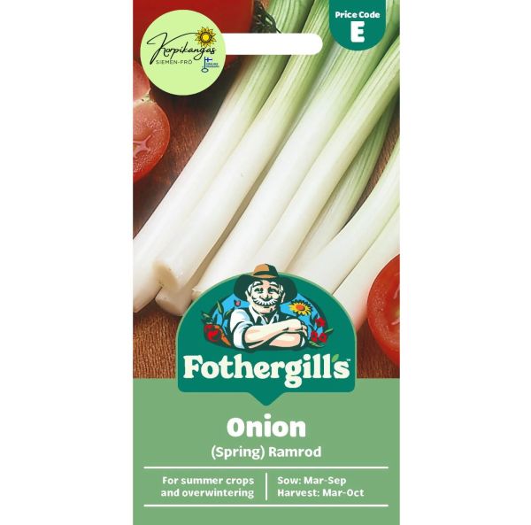 Kevätsipuli, Salaattisipuli