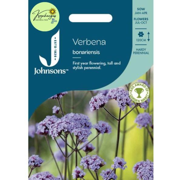 Jättiverbena-2