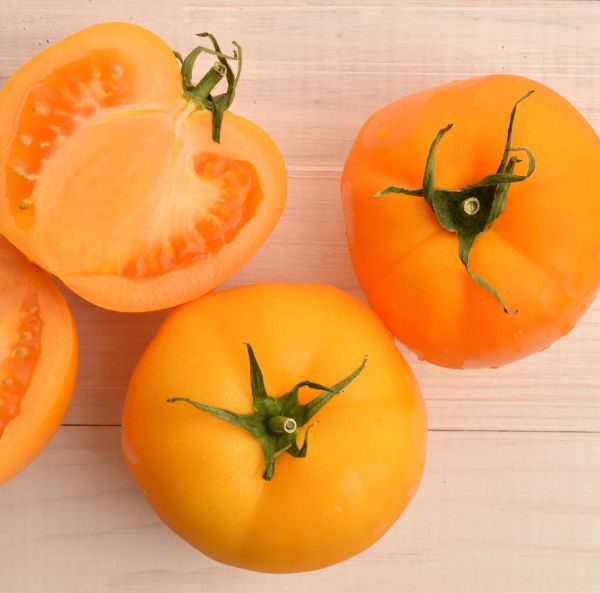 Pihvitomaatti kasvihuoneeseen