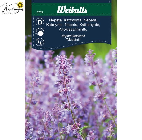 Aitokissanminttu, mirrinminttu