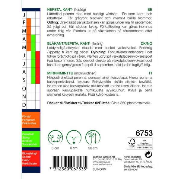 Aitokissanminttu, mirrinminttu-2