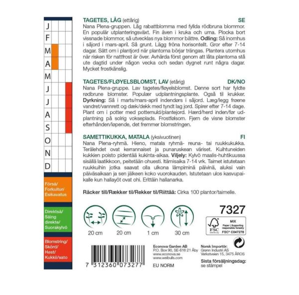 Ryhmäsamettikukka-2
