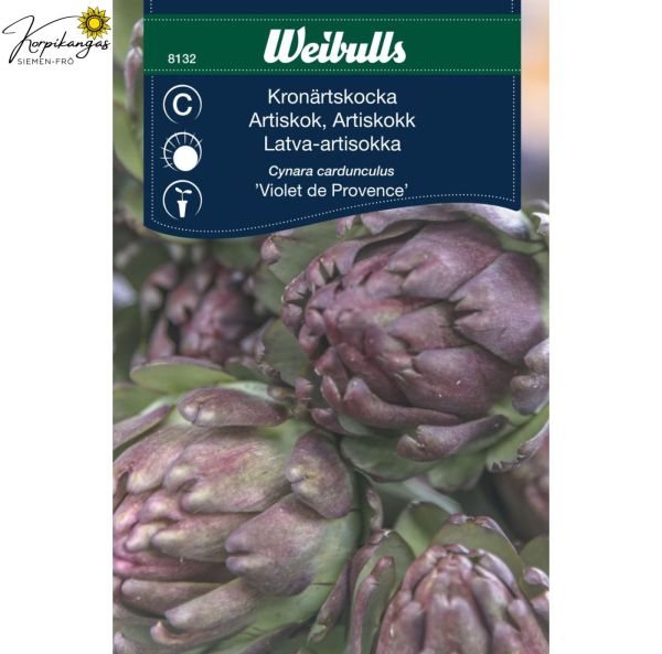 Latva-artisokka