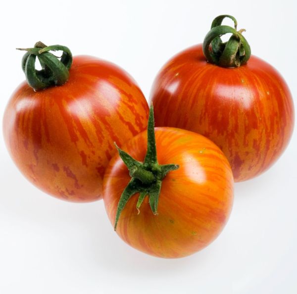 Kasvihuonetomaatti-3