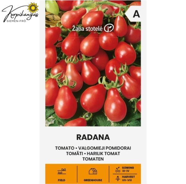 Päärynätomaatti-2