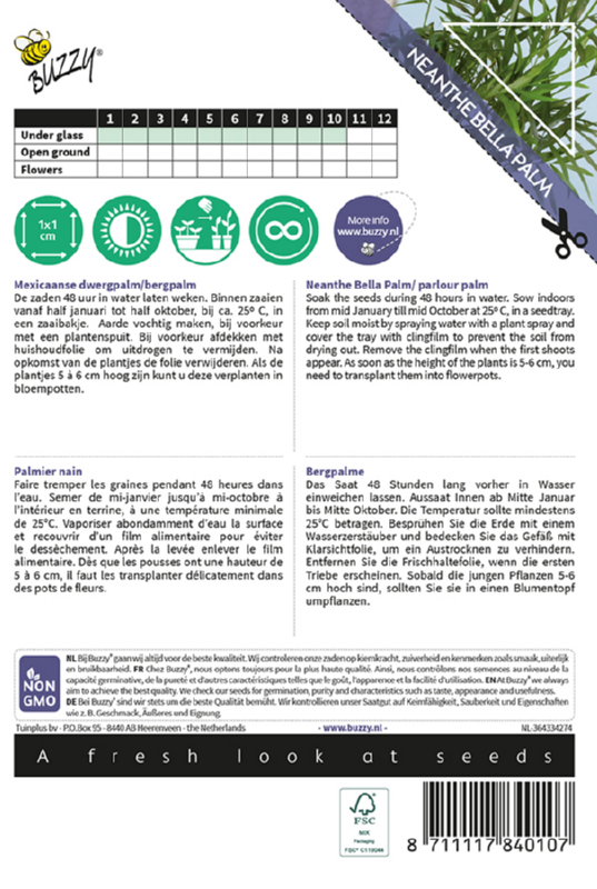 Bergpalm-2
