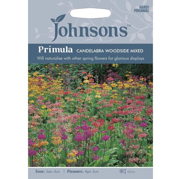 Esikko, Kirjoesikko sekoitus