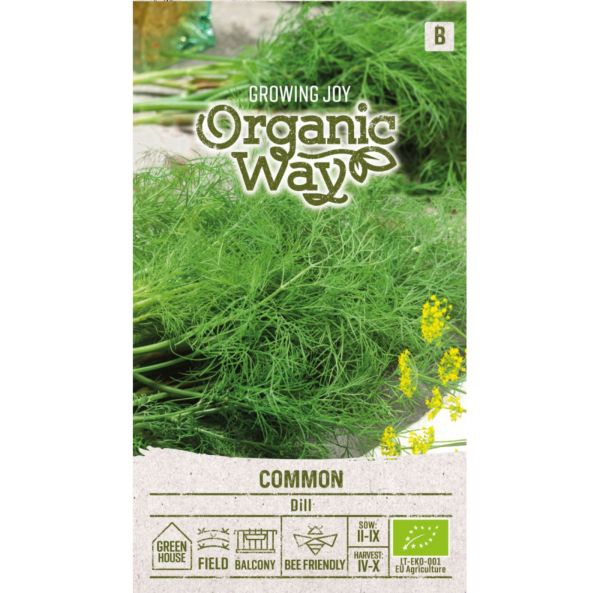Dill-3