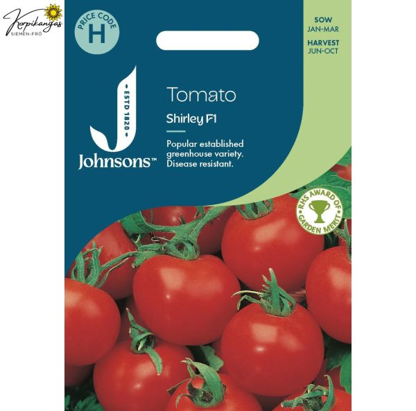 Kasvihuonetomaatti-2