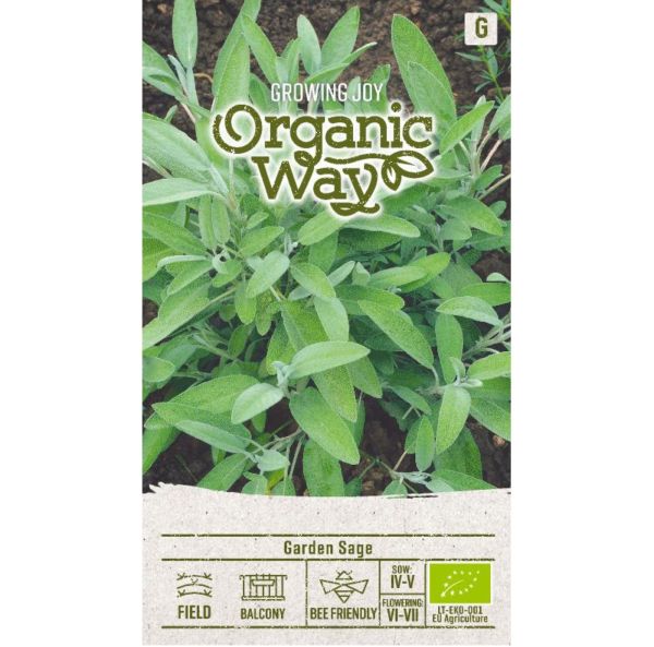 Salvia