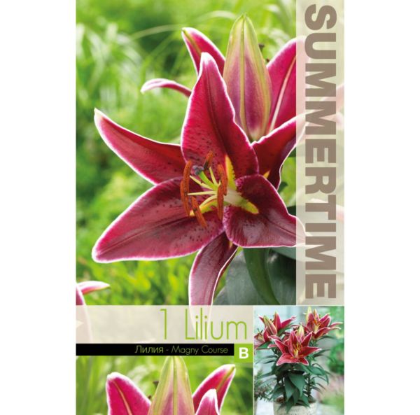 Orientaalililja, ruukkulilja