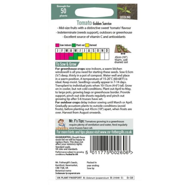 Kasvihuonetomaatti-2