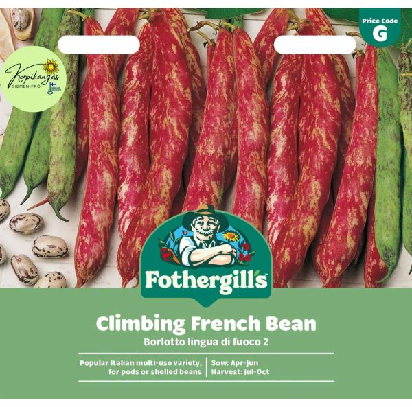 Köynnöspapu