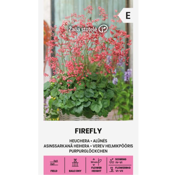 Korallikeijunkukka-2