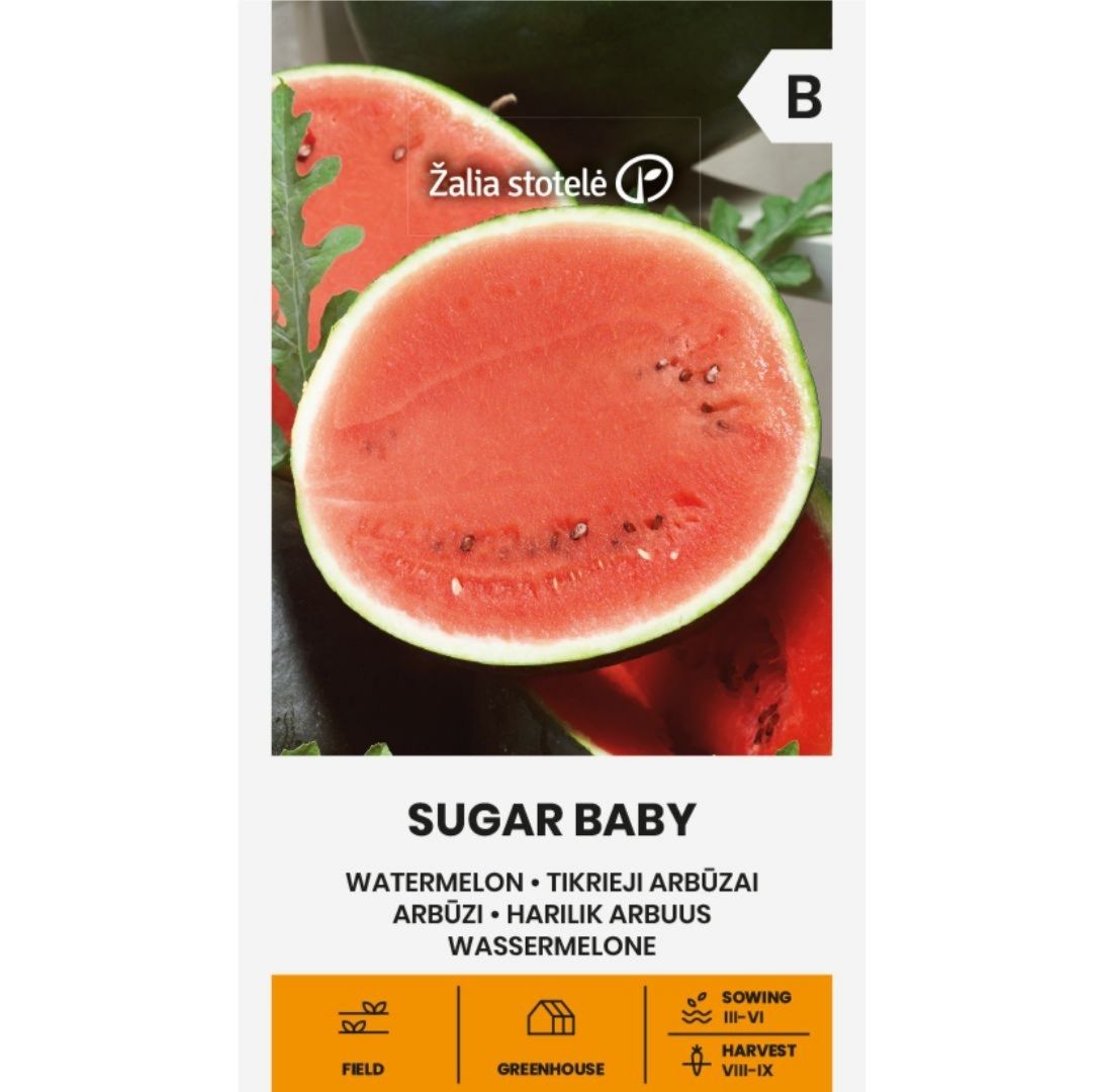 Melon, Vatten--3