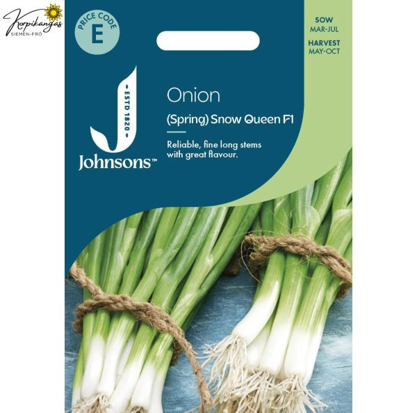 Kevätsipuli, Salaattisipuli