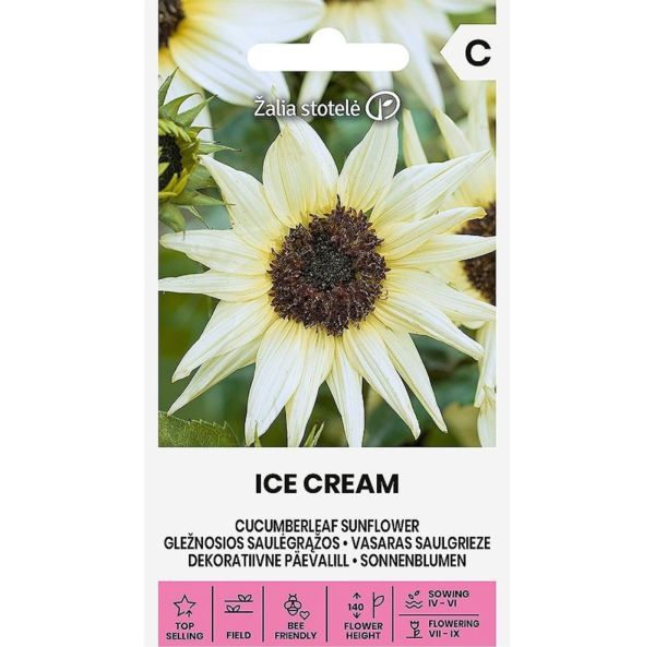 Pikkuauringonkukka-3