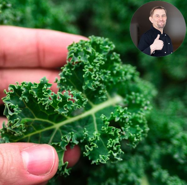 Lehtikaali Vihreä kähärä