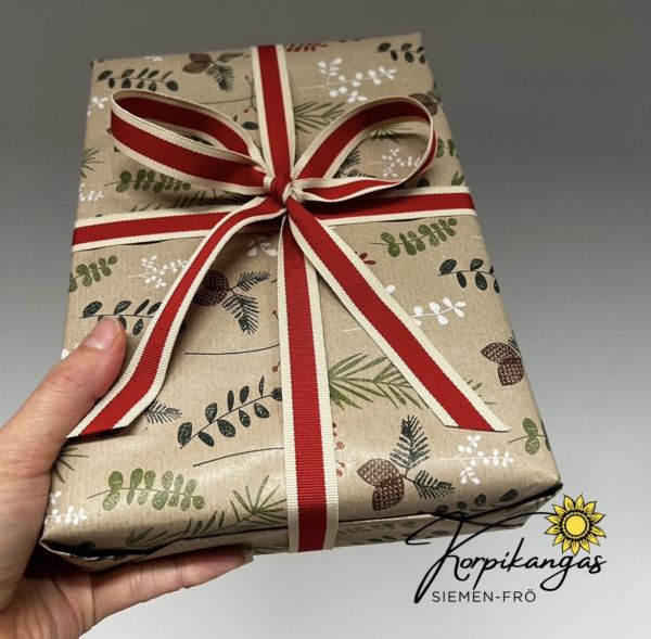 Korpikankaan Mystery Box