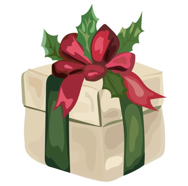 Korpikankaan Mystery Box