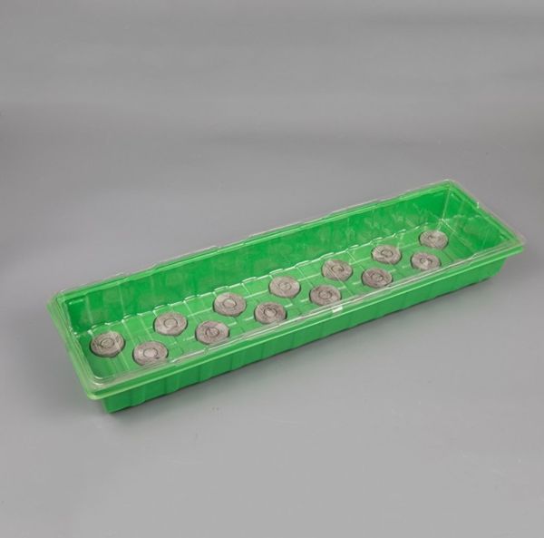 Miniväxthus, set med 20 celler