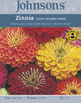 Tsinnia