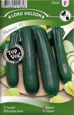 Kesäkurpitsa