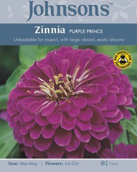 Tsinnia