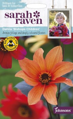Daalia